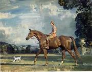 unknow artist Classical hunting fox, Equestrian and Beautiful Horses, 050. USA oil painting artist